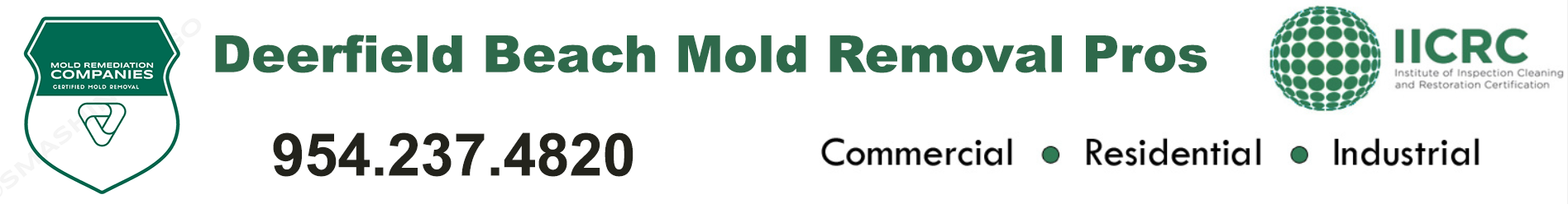 Deerfield Beach Mold Removal Pros