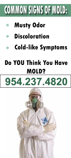 Deerfield Beach Mold Remediation Contractor